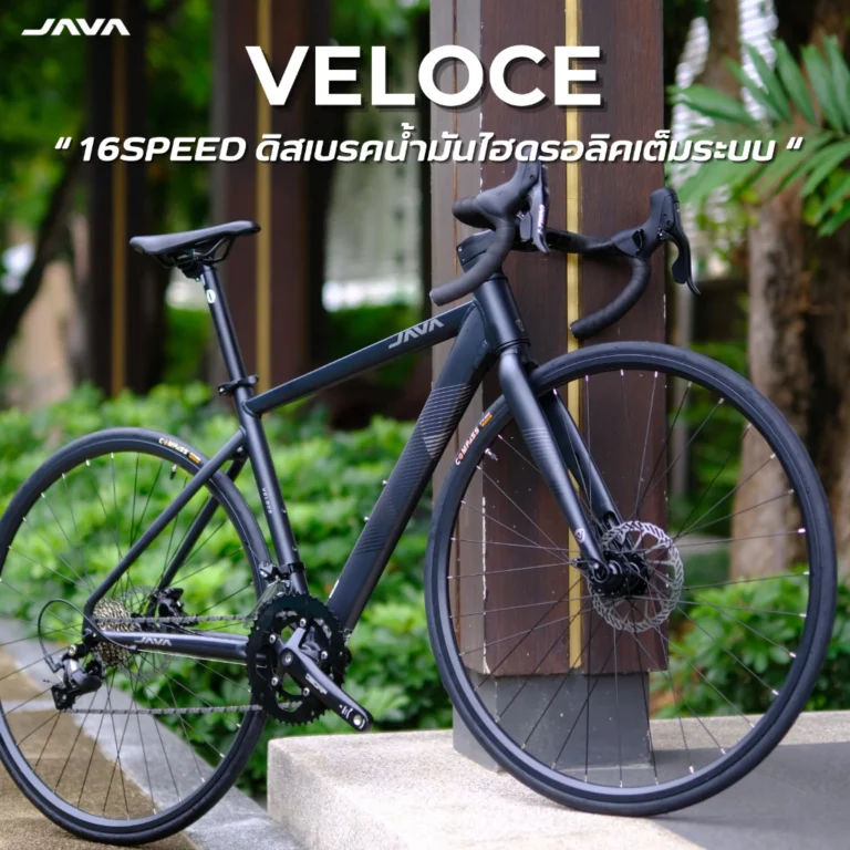 เสือหมอบ JAVA VELOCE